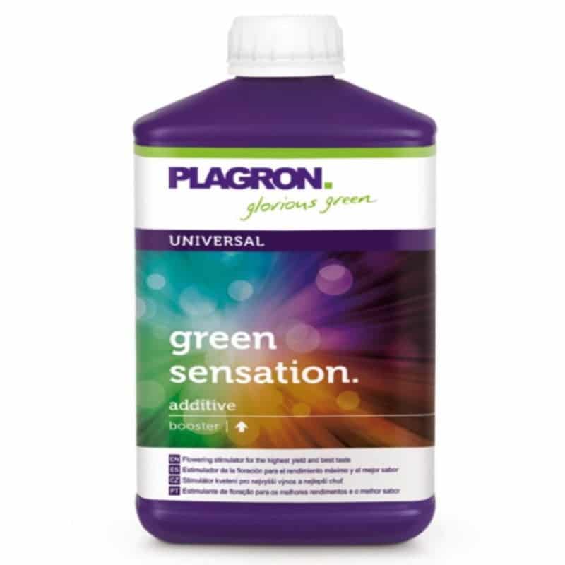 An image featuring Plagron Green Sensation, a plant supplement product, showcasing the product packaging and its significance in enhancing the flowering phase and overall plant development.