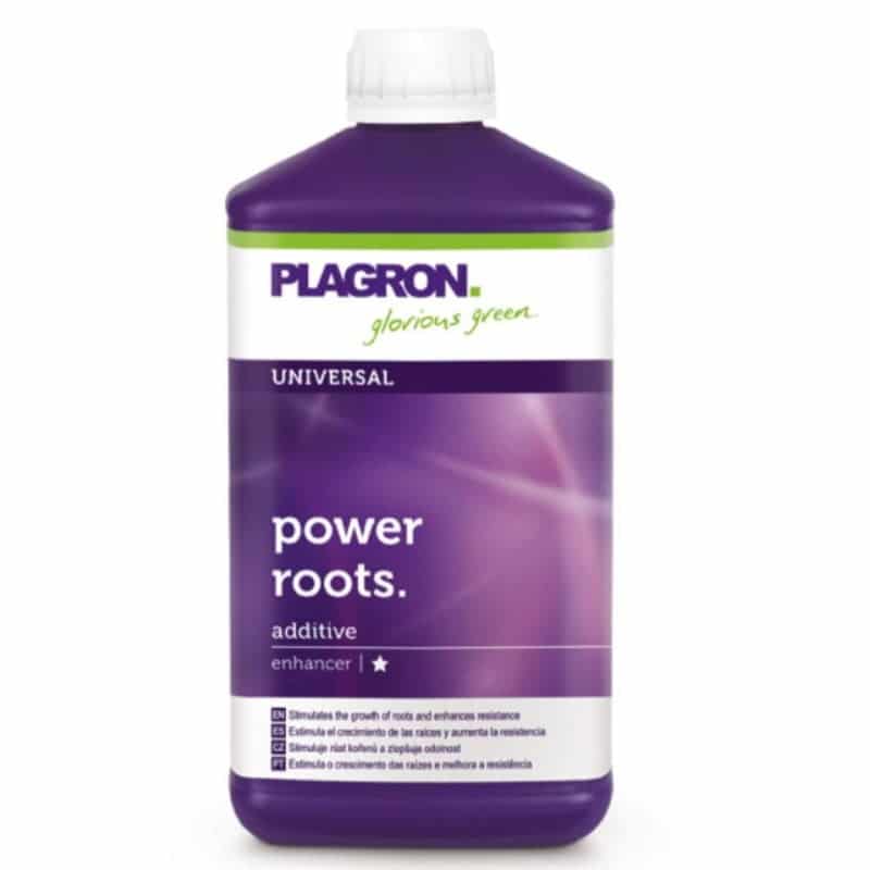 An image of Plagron Power Roots, a plant supplement product, showcasing the product packaging and its importance in stimulating strong root development and overall plant vitality.