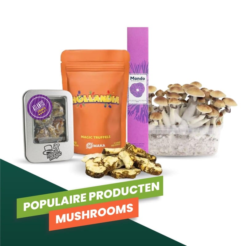Popular Products Mushrooms