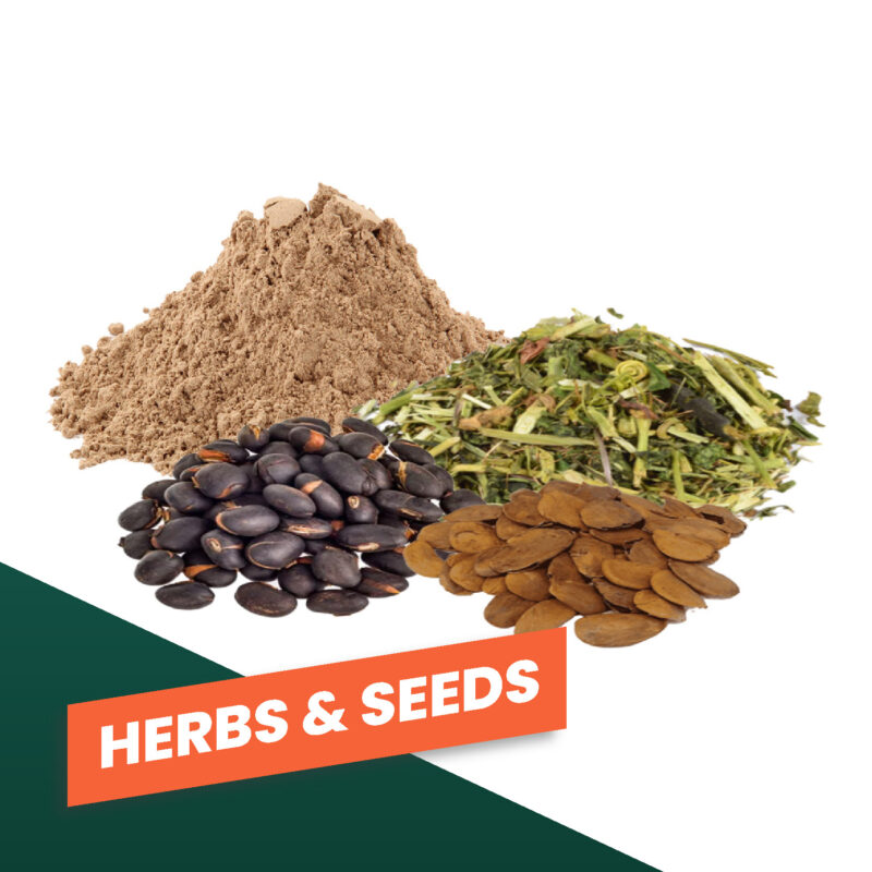 Herbs & Seeds